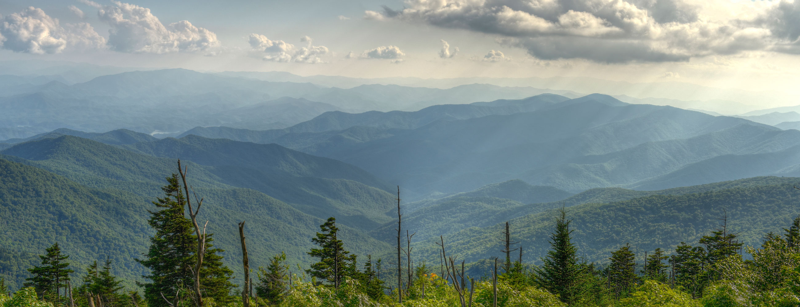 Илья Васнецов